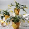 alyptus Künstliche gelbe Weihnachtskaktusblüten mit Topf, 3er-Set, für drinnen und draußen, lebensechte Kunstkakteen für festliche Heimdekoration, Weihnachtsgeschenk (gelb)