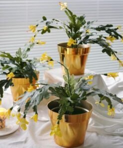 alyptus Künstliche gelbe Weihnachtskaktusblüten mit Topf, 3er-Set, für drinnen und draußen, lebensechte Kunstkakteen für festliche Heimdekoration, Weihnachtsgeschenk (gelb)