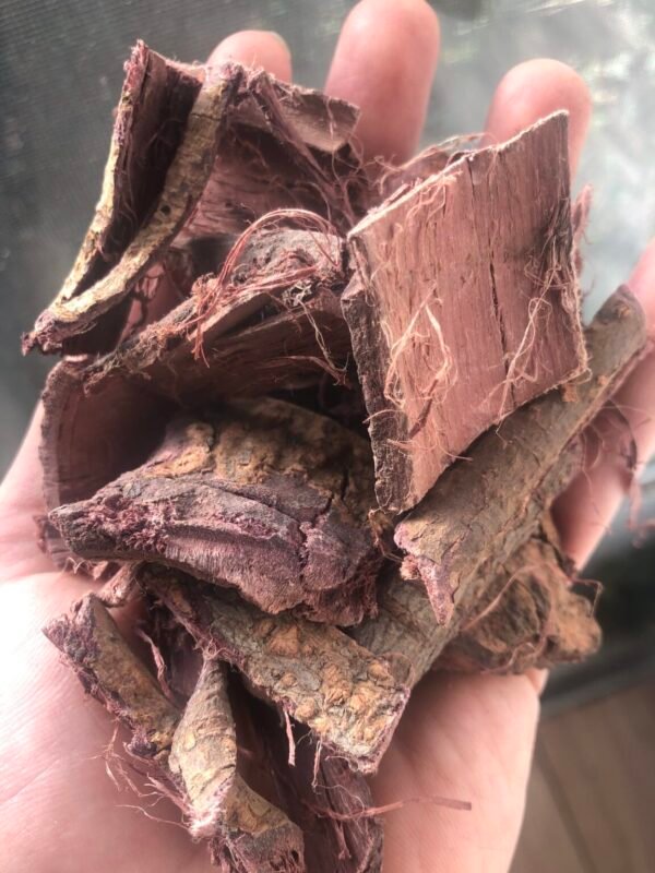 Mimosa hostilis Inner Root Bark (MHRB) – Whole – Shipped from NL warehouse